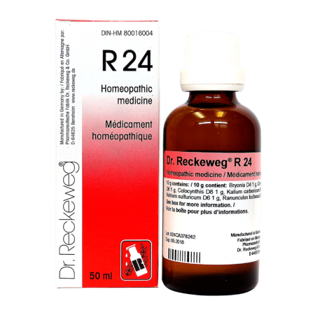 Dr Reckeweg R24