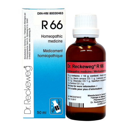 Dr Reckeweg R66